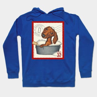 Cute Doxie in tin bathtub with bubbles Hoodie